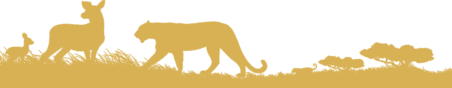 Sajjann Safari Wildlife